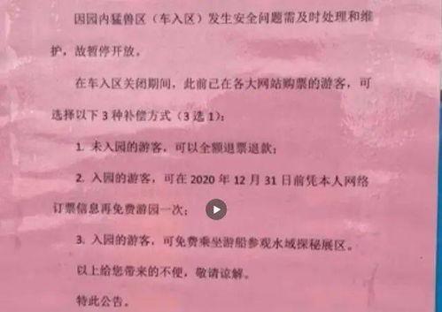 动物园员工爆料视频大全,揭秘幕后真相与动物生活